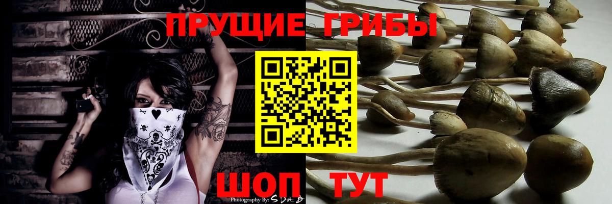 Люберцы  Псилоцибиновые грибы мицелий  Галлюциногенные грибы мицелий  Вход с VPN 
